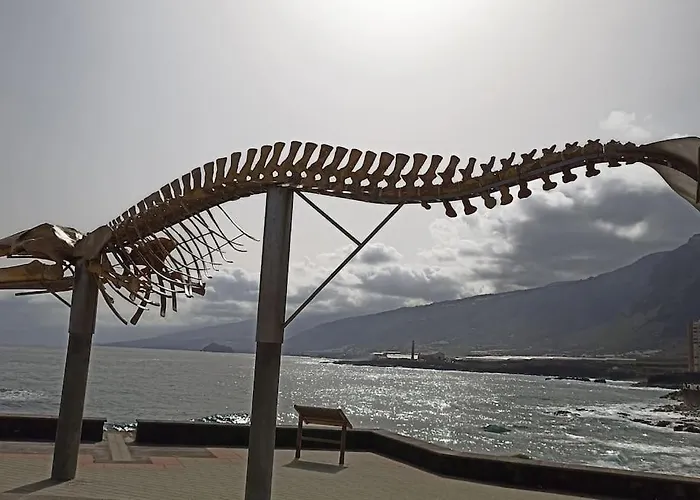 Wagner - - 公寓 San Marcos (Tenerife)